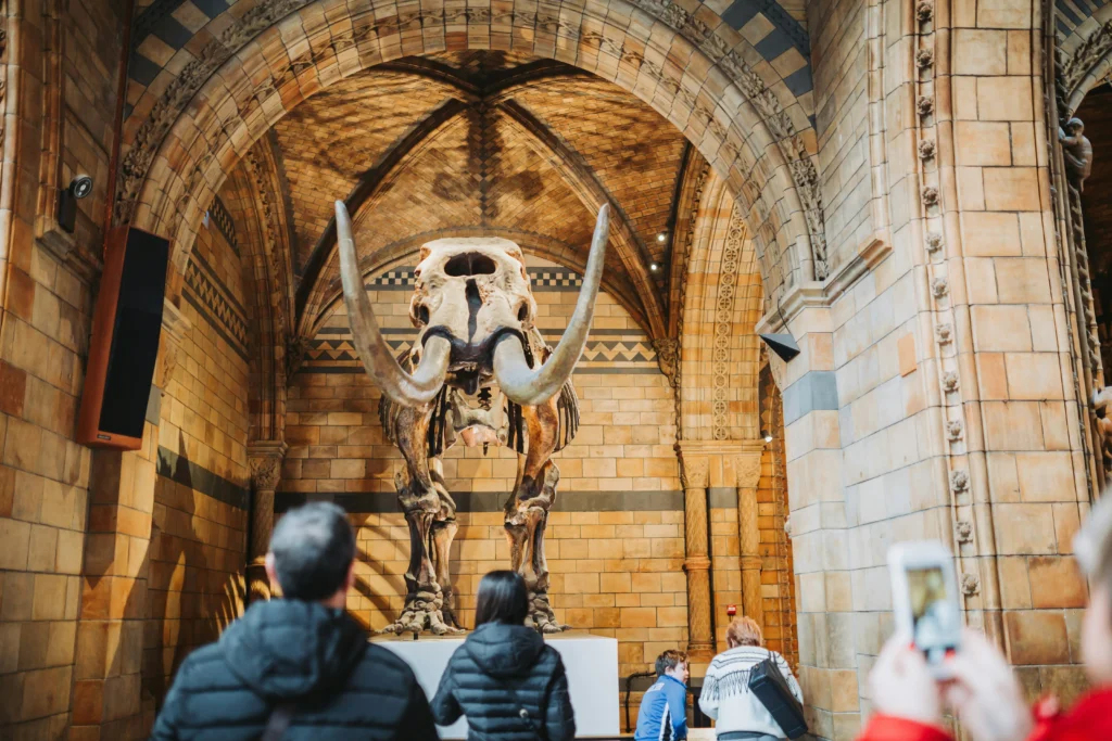 musee histoire naturelle londres